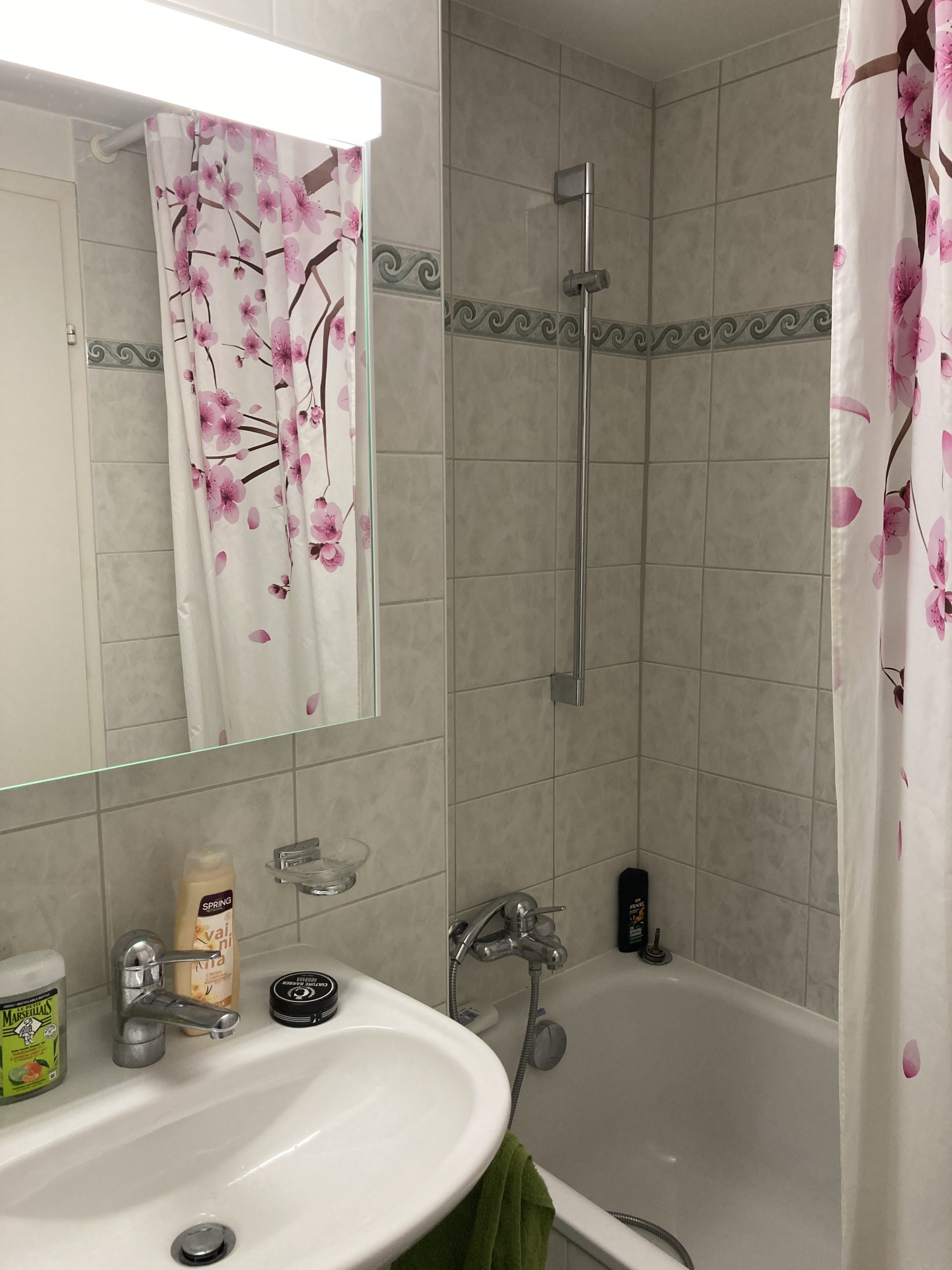 Gellertkirche Basel, 1 Zi-Whg (knapp 40m2), Gotthelfquartier Basel